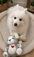 White dog sitting on a fluffy pet bed with a Hug Me Dogs interactive dog toy