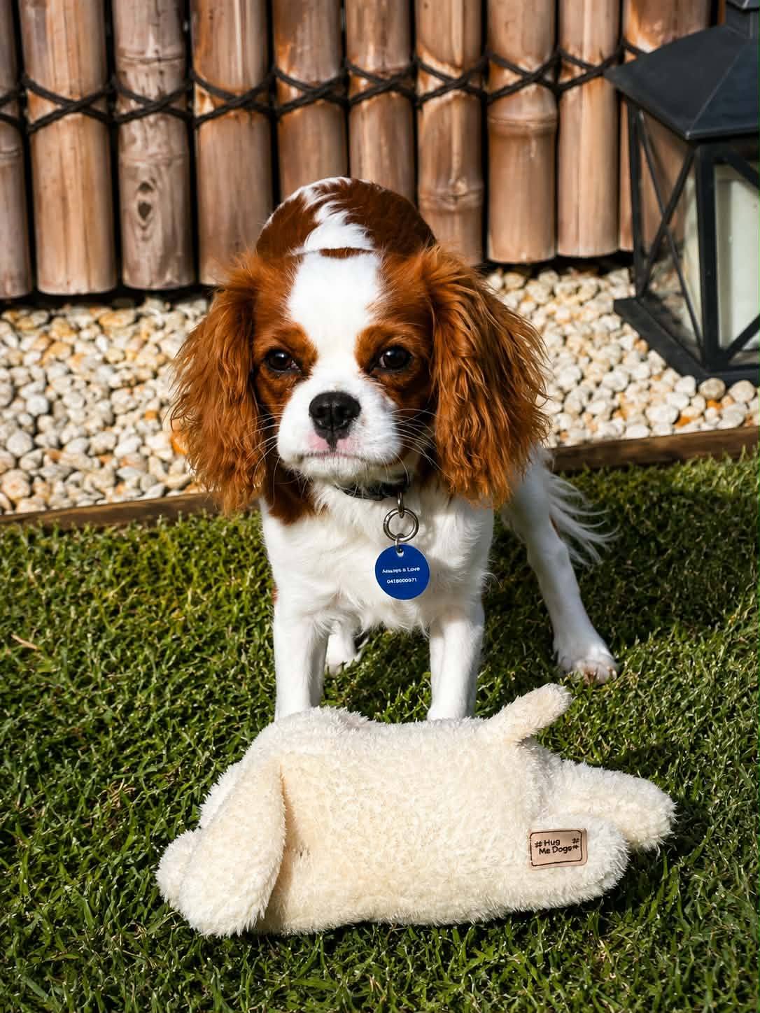 A small brown-and-white dog stands on green grass outdoors, positioned behind a Hug Me Dogs plush dog toy. A wooden fence, pebbled ground, and black lantern are visible in the background.