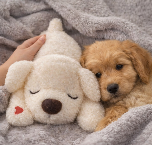 Puppy snuggling with a Hug Me Dogs plush toy dog on a soft blanket
