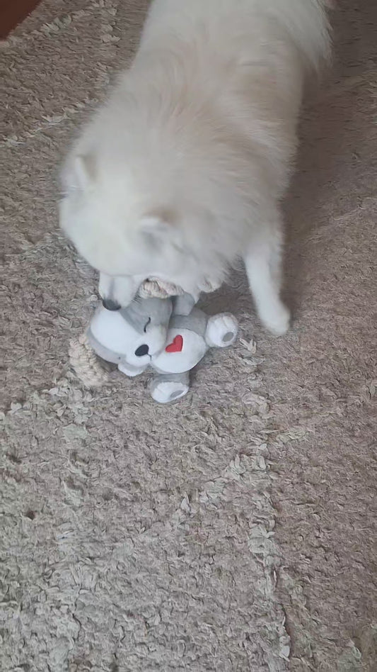 A video of a fluffy white dog playing with Hug Me Dogs rope dog toy.