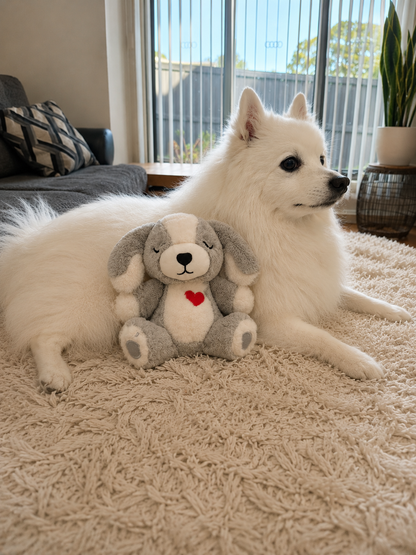 White dog lying on a carpeted floor with a Hug Me Dogs interactive dog toy