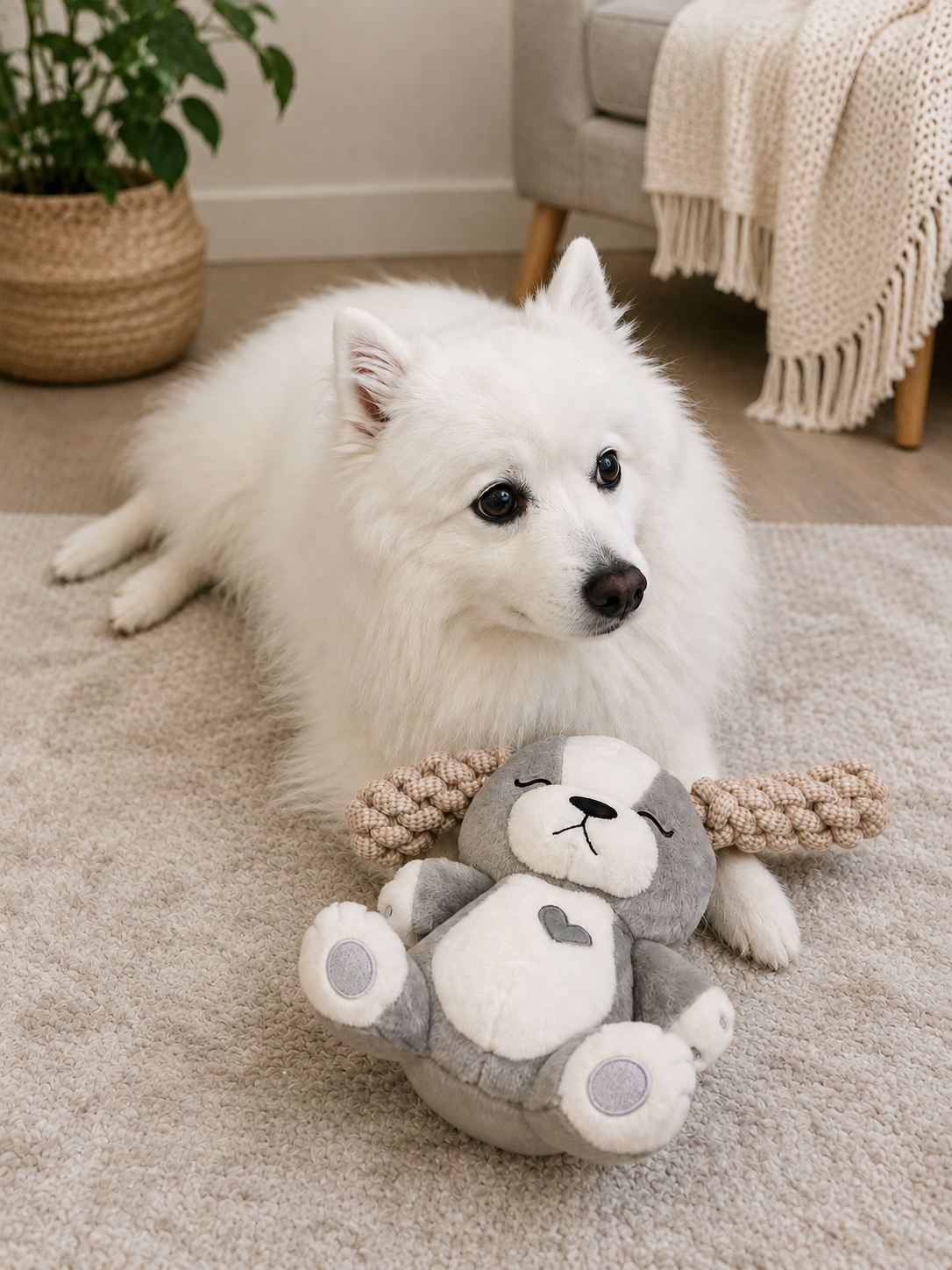 Hug Me Dogs Rope Dog Toy Grey Heart