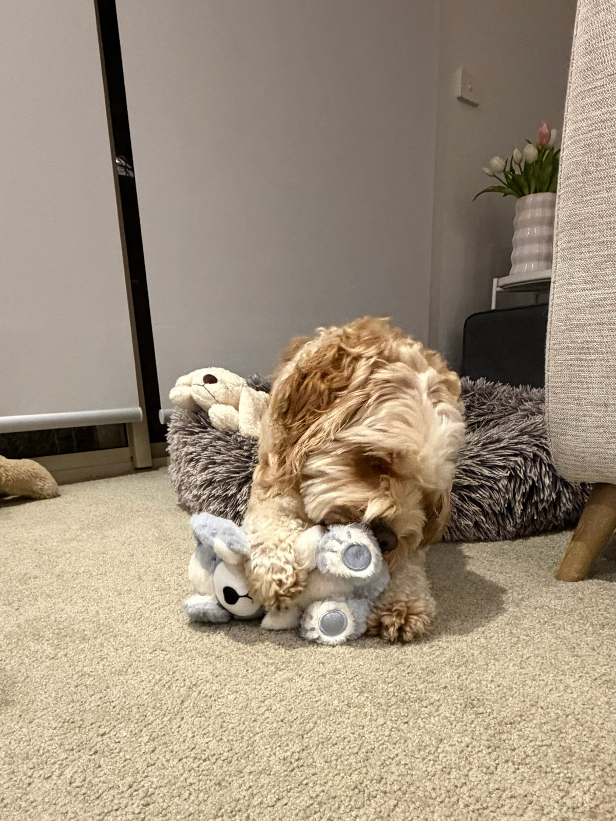 Hug Me Dogs® Interactive Dog Toy